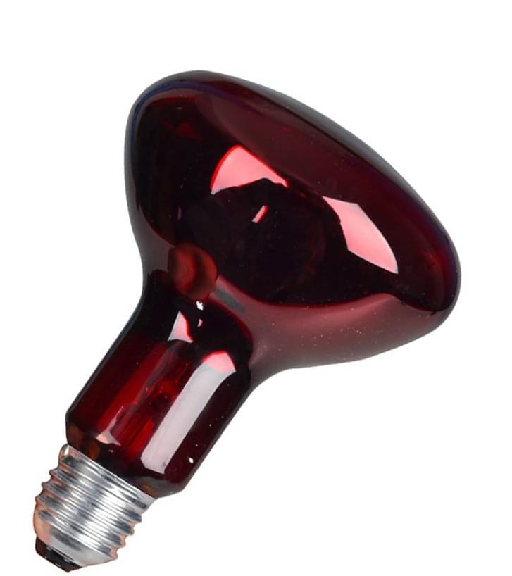 Infrared Therapy Heat Lamp Bulb – Red Infrared Bulb
